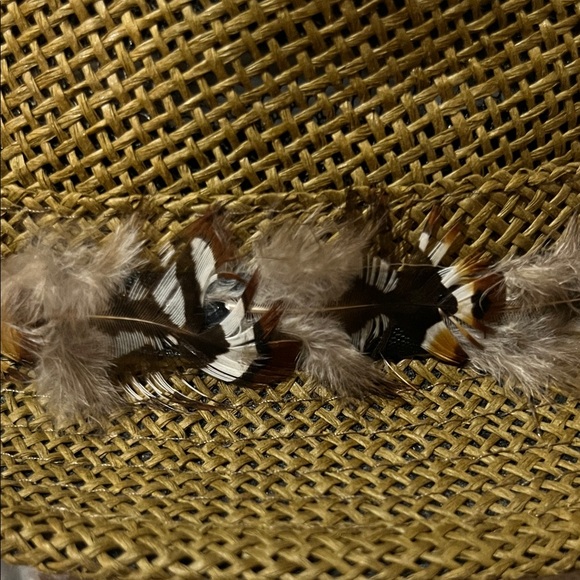 Brown Fedora Hat with Feather Band - Picture 14 of 16